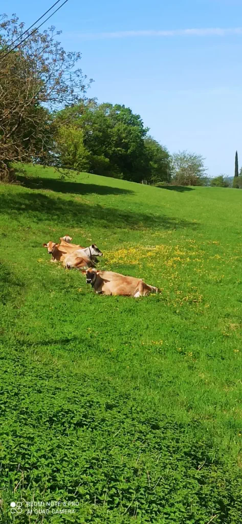 Ferme de Balajou
